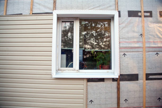 Best Same-Day Junk Removal Services  in Rushville, NE