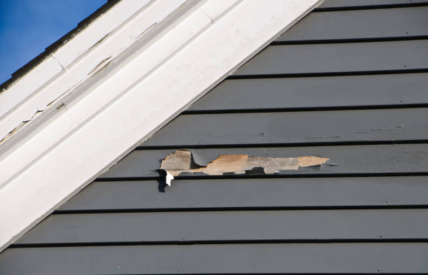 Best Appliance Removal  in Rushville, NE